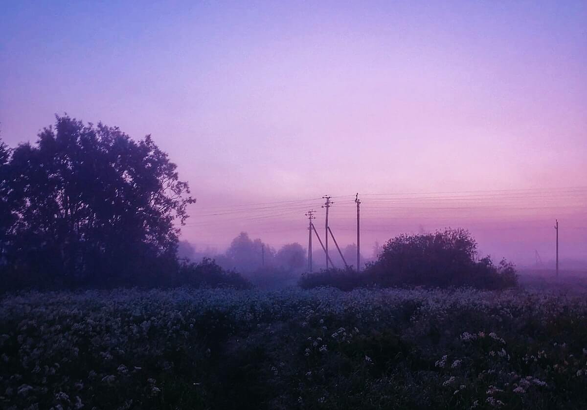 开云官网：以用户为中心的数字生活新入口